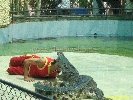 IMG_1728.jpg