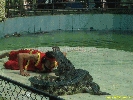 IMG_1729.jpg