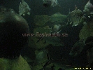 IMG_1738.jpg