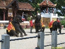 IMG_1740.jpg