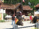 IMG_1741.jpg