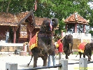 IMG_1742.jpg