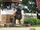 IMG_1743.jpg