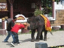 IMG_1744.jpg
