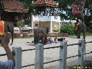 IMG_1745.jpg