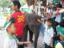 IMG_1746.jpg