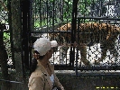 IMG_1750.jpg