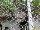 IMG_1753.jpg