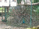 IMG_1754.jpg