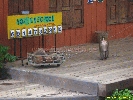 IMG_1757.jpg