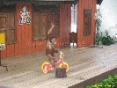 IMG_1761.jpg