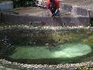 IMG_1764.jpg