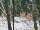 IMG_1766.jpg