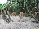 IMG_1767.jpg