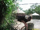 IMG_1769.jpg
