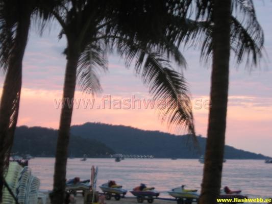 IMG_1975.jpg