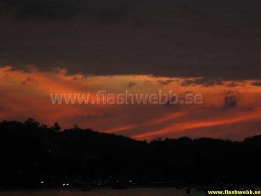 IMG_1982.jpg