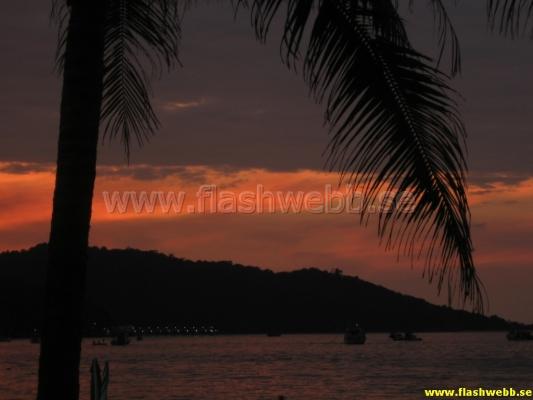 IMG_1983.jpg