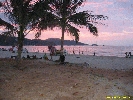 IMG_1972.jpg