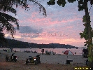 IMG_1973.jpg