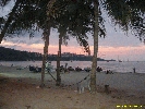 IMG_1976.jpg