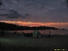 IMG_1981.jpg