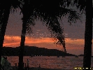 IMG_1984.jpg