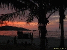 IMG_1989.jpg