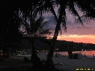 IMG_1995.jpg