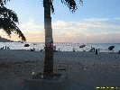 IMG_2313.jpg