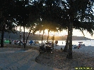 IMG_2316.jpg