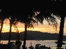 IMG_2366.jpg