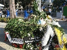 IMG_1884.jpg