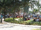 IMG_1891.jpg