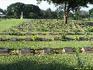 IMG_1037.jpg