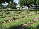 IMG_1038.jpg