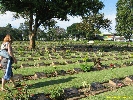 IMG_1041.jpg