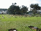 IMG_1042.jpg