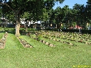 IMG_1043.jpg