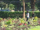 IMG_1047.jpg