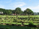 IMG_1053.jpg
