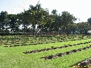 IMG_1056.jpg