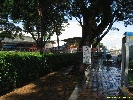 IMG_1060.jpg