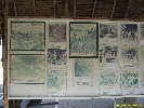 IMG_1063.jpg