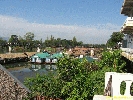 IMG_1067.jpg