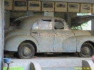 IMG_1076.jpg