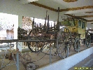 IMG_1081.jpg