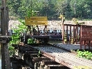 IMG_1082.jpg