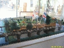 IMG_1083.jpg