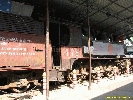 IMG_1087.jpg